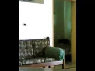 आबनूस लाल लंबे हॉलीवुड सेक्स फिल्म toenail fj