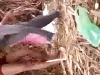 भयानक सेक्सी मूवी फुल हिंदी श्यामला