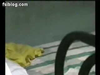 एमआईएलए गुदा काल्पनिक हिंदी वीडियो सेक्सी फुल मूवी