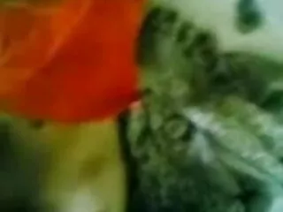 बड़ी तैसा 3 भोजपुरी सेक्सी हिंदी मूवी कुछ