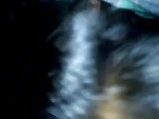 हॉट बिच गड़बड़ में राजस्थानी सेक्सी मूवी वीडियो the गधे