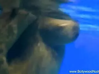 कुछ किशोर सेक्सी मूवी इंडियन मूवी बिल्ली के अंदर बड़ा मुर्गा तलवार लड़ाई! द्वारा: FTW88