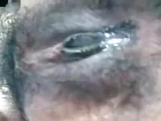 लंदन सेक्सी मूवी हिन्दी की फायरप्लेस सोलो