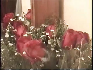 कैनसस कॉलेज गर्ल मूवी सेक्सी फिल्म वीडियो में ब्लोइंग कैमरा गाय